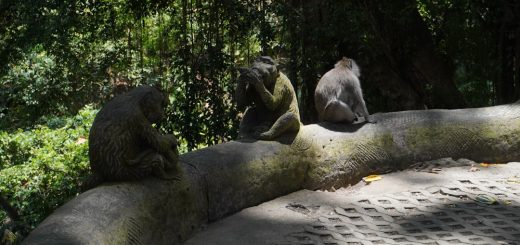 découvrez 'sanctuary', un lieu de paix et de refuge où l'harmonie entre nature et bien-être s'épanouit. plongez dans un monde de tranquillité, d'évasion et de ressourcement, propice à la méditation et à la relaxation.