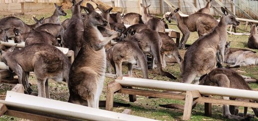 découvrez 'sanctuary', un espace où la paix rencontre la beauté. plongez dans un univers apaisant, un refuge idéal pour se ressourcer et trouver l'harmonie. explorez nos services pensés pour votre bien-être et votre épanouissement personnel.