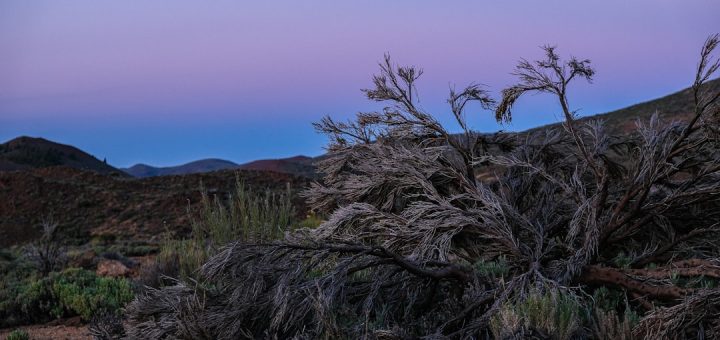 découvrez un havre de paix avec notre retraite tranquille, un endroit parfait pour vous ressourcer, vous relaxer et retrouver l'harmonie avec la nature. profitez d'un cadre apaisant, d'activités revitalisantes et d'une ambiance sereine.