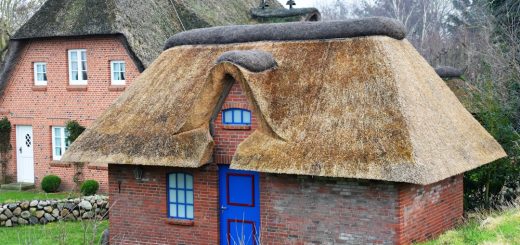 découvrez le charme intemporel des maisons en pierre, alliant authenticité et confort moderne. explorez les caractéristiques uniques de ces demeures, parfaites pour ceux qui recherchent une atmosphère rustique tout en bénéficiant des dernières innovations en matière d'habitat.